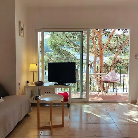 Apartment Roca Rubia 1- Very Cozy, Terrace And Balcony With Stunning Views Tamariu