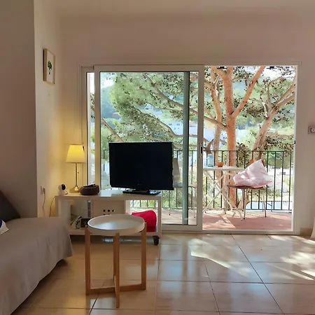 Stunning Intimate Views. Terrace Rooftop. Wifi Appartement Tamariu